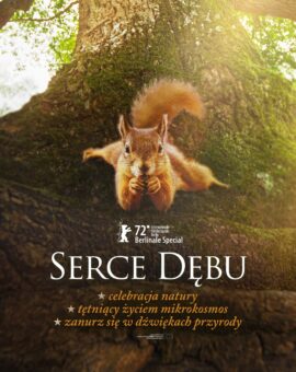 Serce dębu