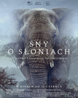 Sny o słoniach