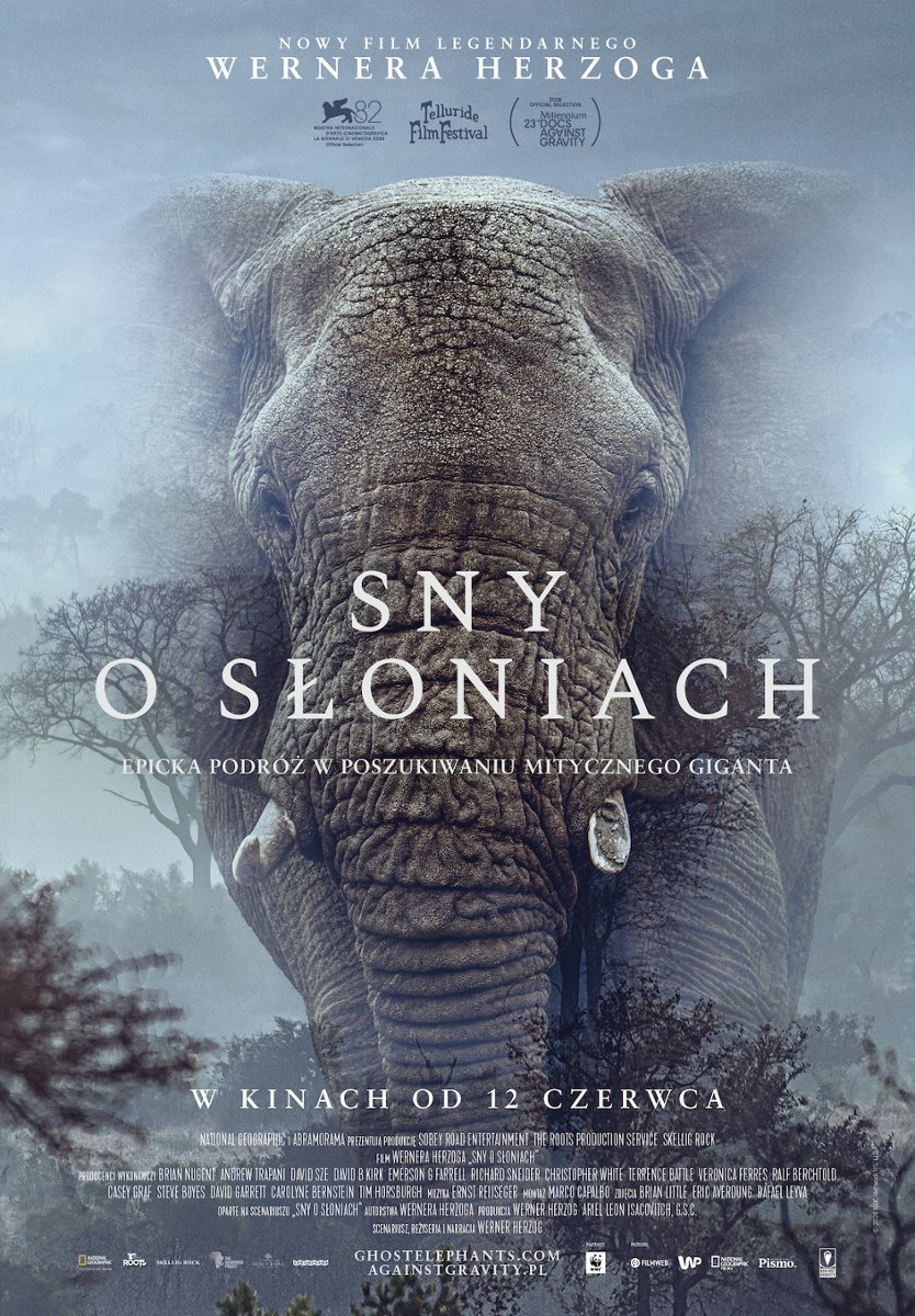 Sny o słoniach