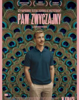 Paw zwyczajny | pokaz specjalny