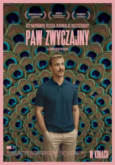 Paw zwyczajny | pokaz specjalny